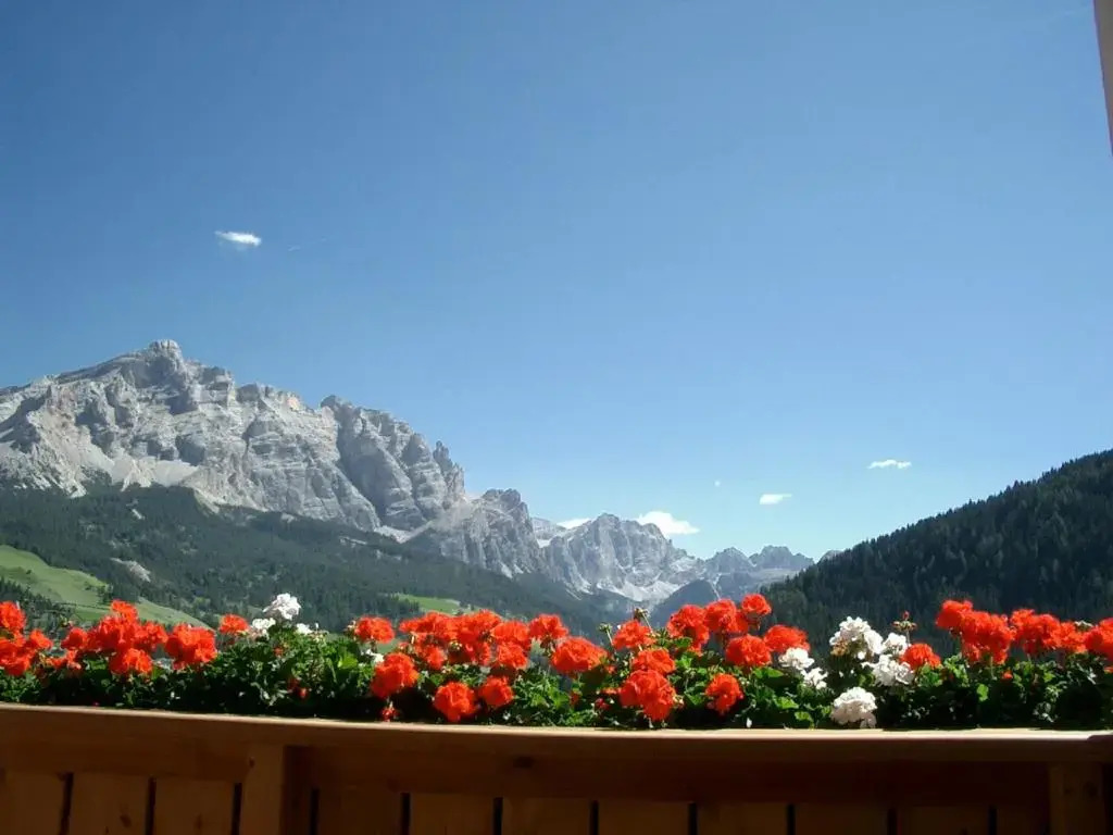 Chalet Milandora