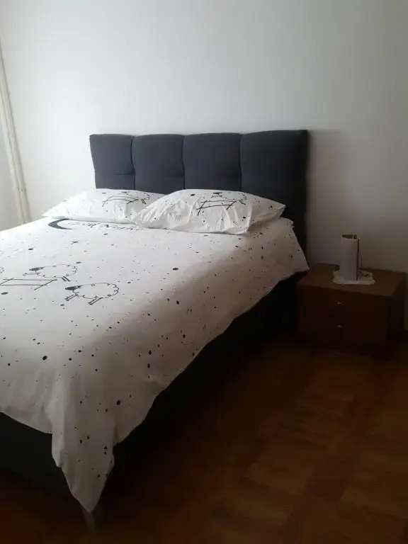 Apartments Davor