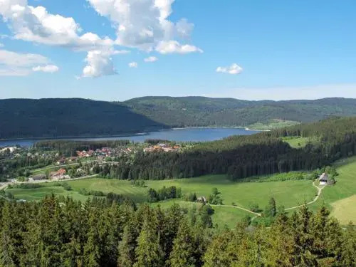 Alpenblick-Faulenfurst