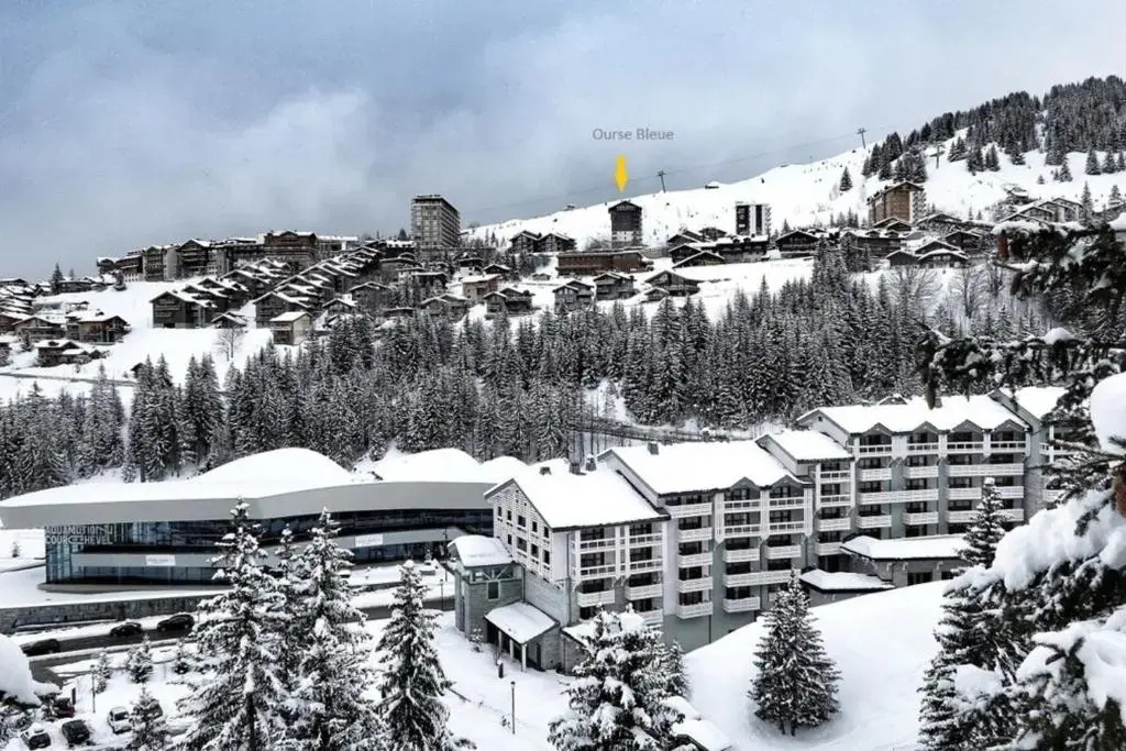 Ourse Bleue Appartement avec vue sur la montagne