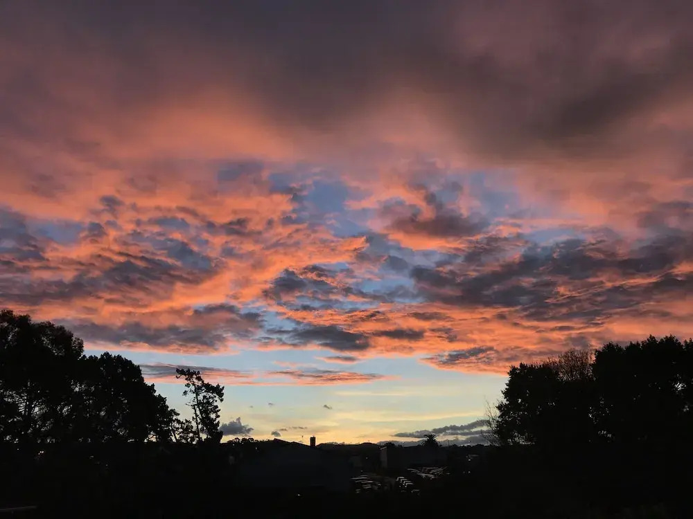 Auckland Onestop