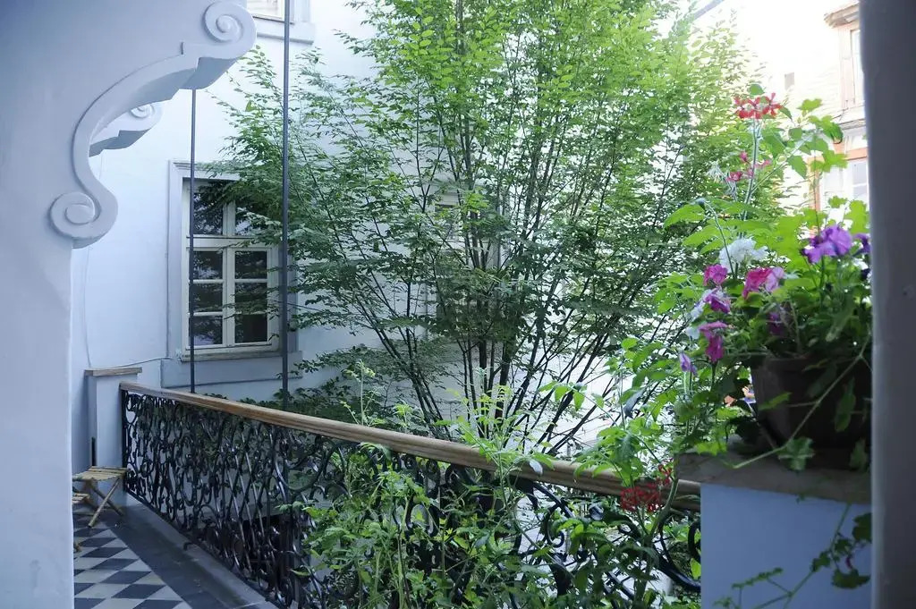 Apartment Romana