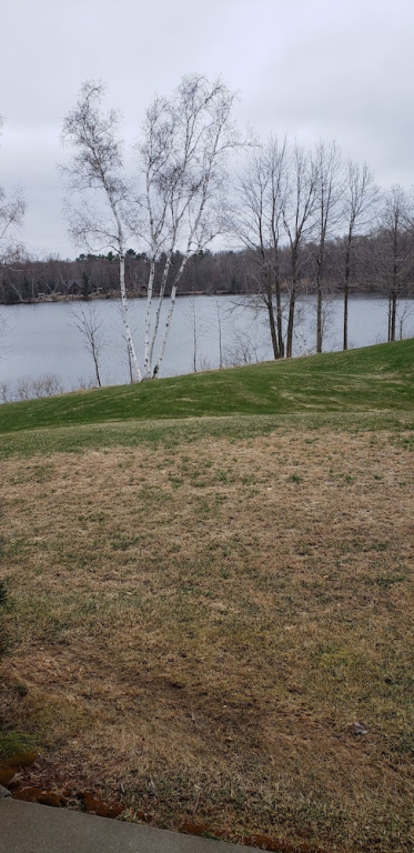 Unit 316 1 Bdrm/ 1 Bath Condo 1 Bedroom Condo by RedAwning