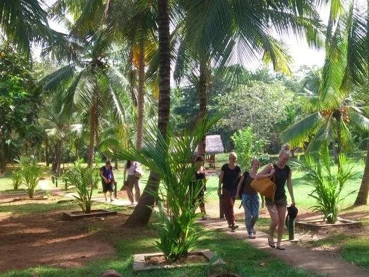 Elephant paradise Safari lodge