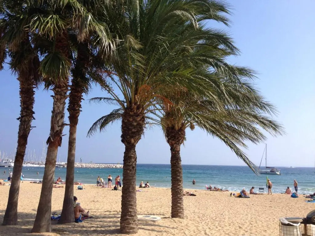 Mas Provençal