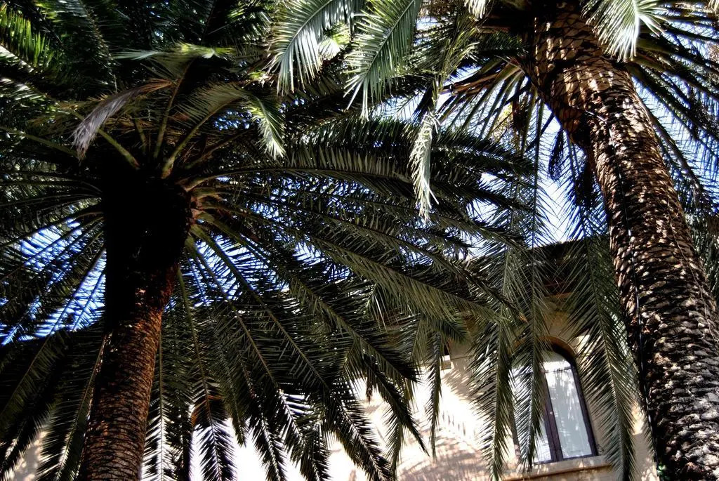 B&B Villa Fiocchi
