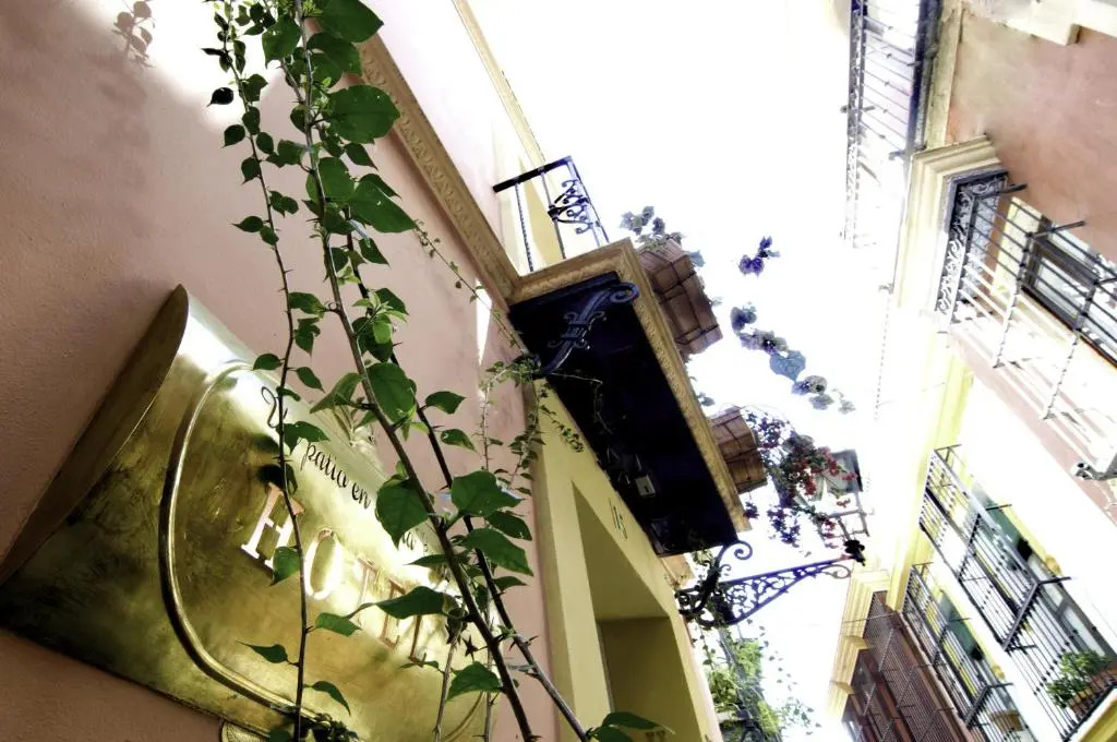 Un Patio en Santa Cruz