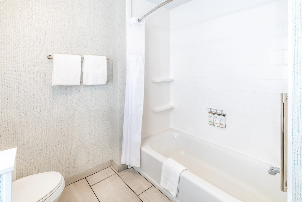 Holiday Inn Express Durango Downtown- Animas River