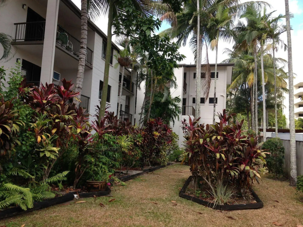Palms at Trinity Beach