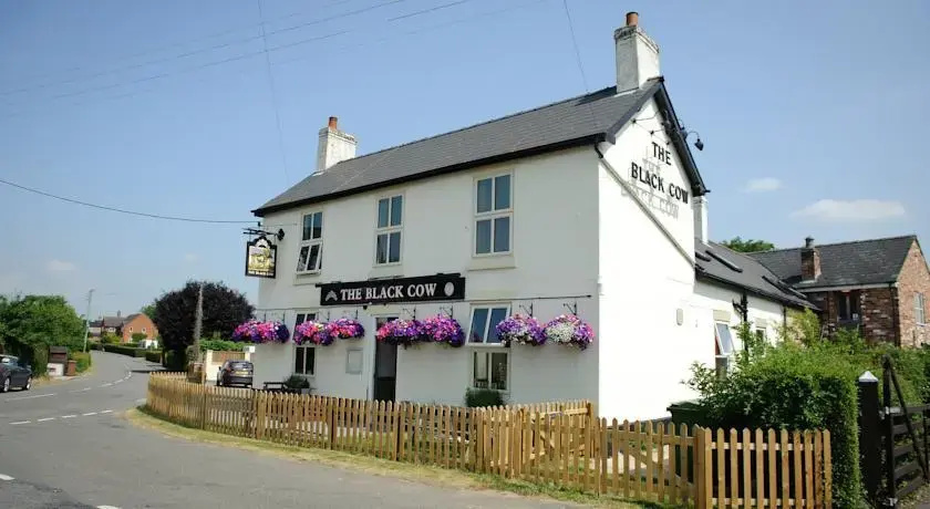 The Black Cow