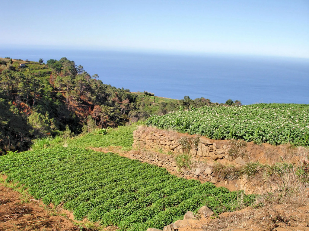 Secluded Tranquil Spacious Villa, Stunning Views, Heated Pool & A/C Theo'S