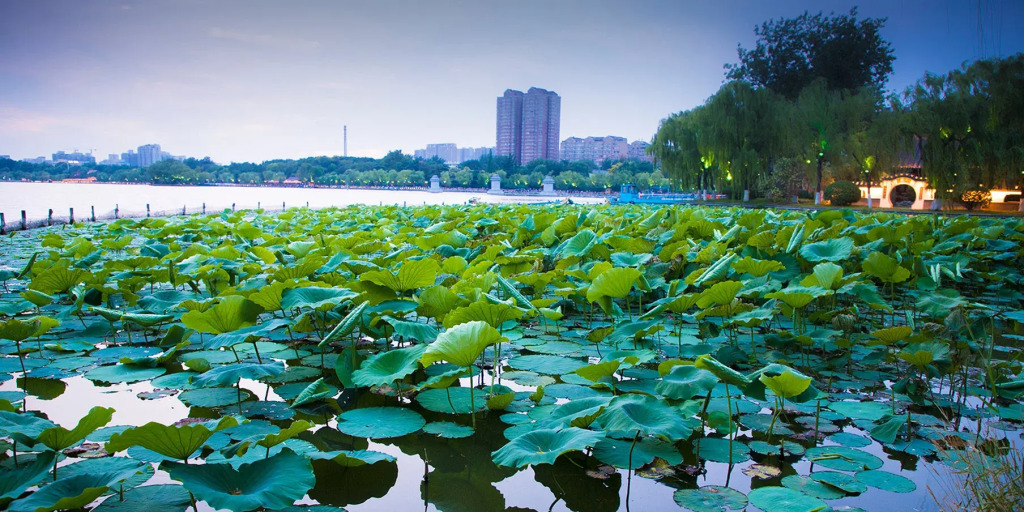 Crowne Plaza Jinan Runhua by IHG