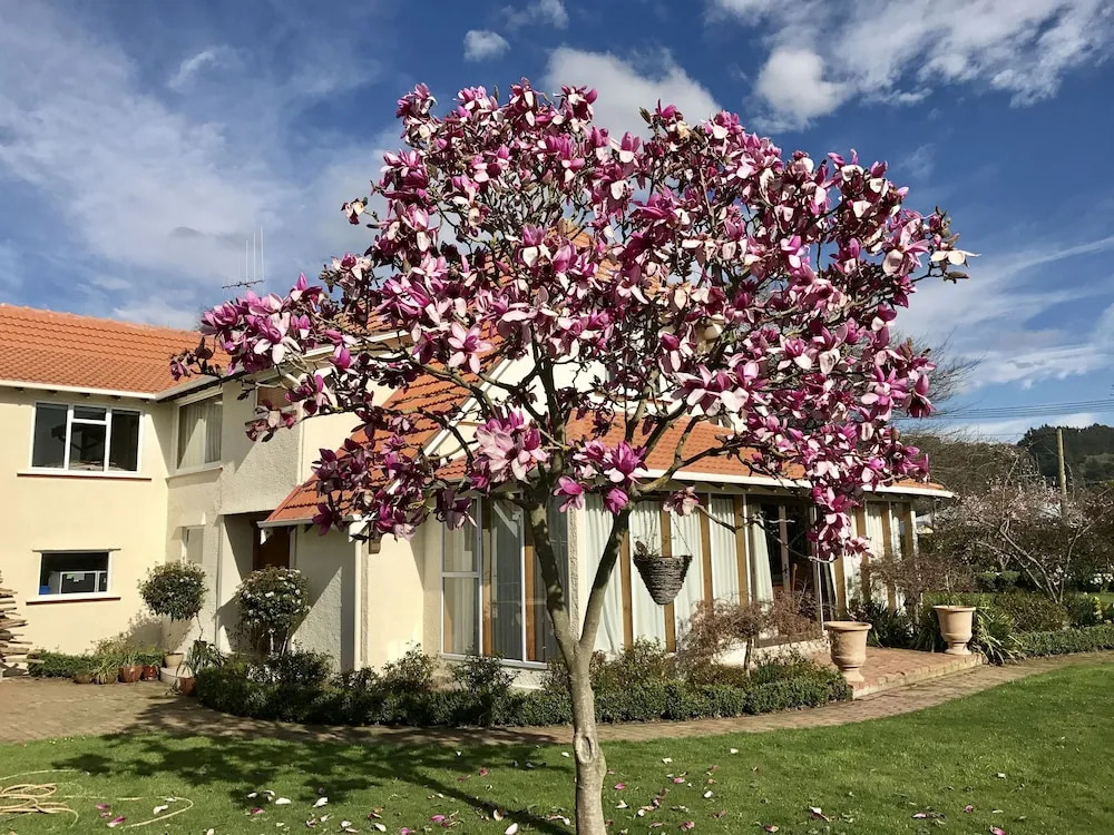 The Waitaki B&B