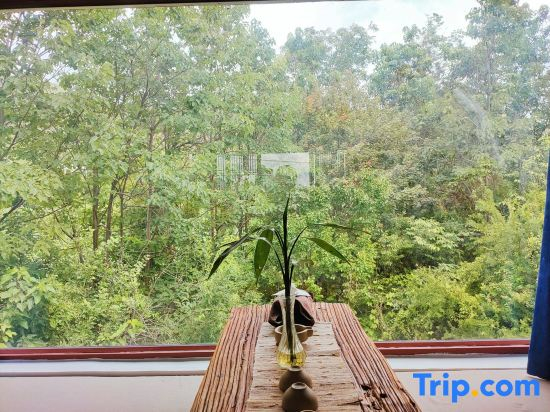 Shuyunju Healing homestay