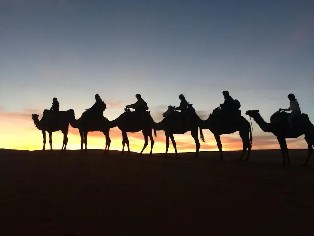 Desert Queen Camp