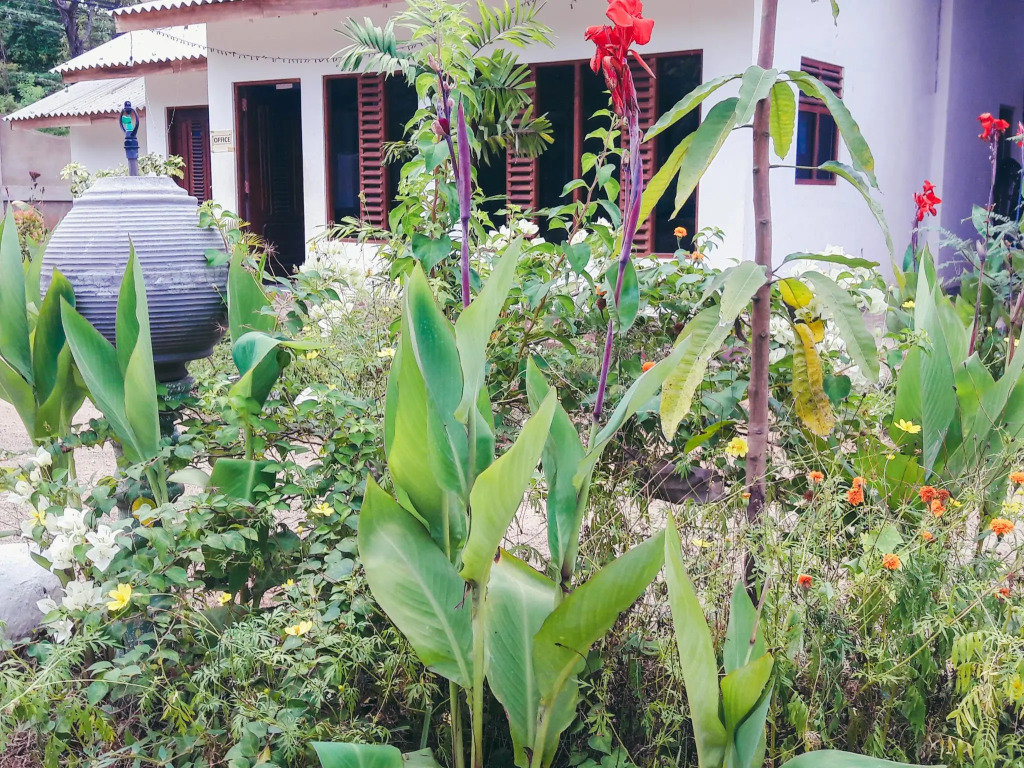 Wenasa Hotel