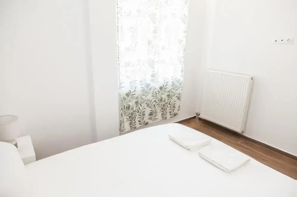 Gorgeous Apartment in Athens GTD8280-02