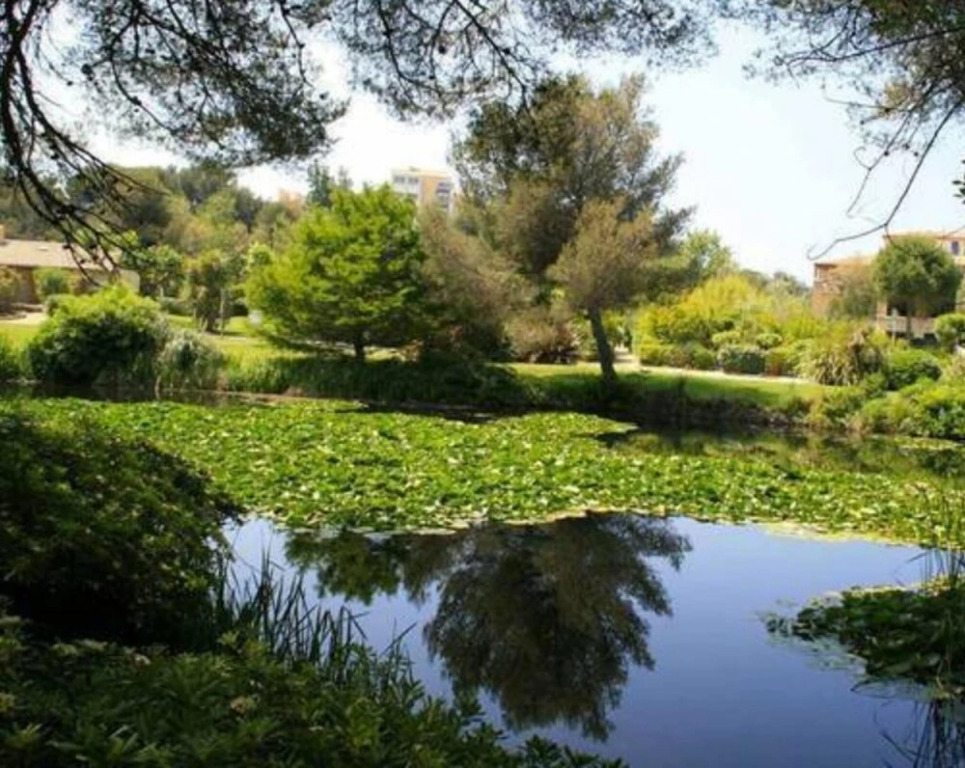 Studio In Six Fours Les Plages With Shared Pool And Enclosed Garden 100 M From The Beach