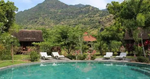 Dune Alaya Yoga Hotel