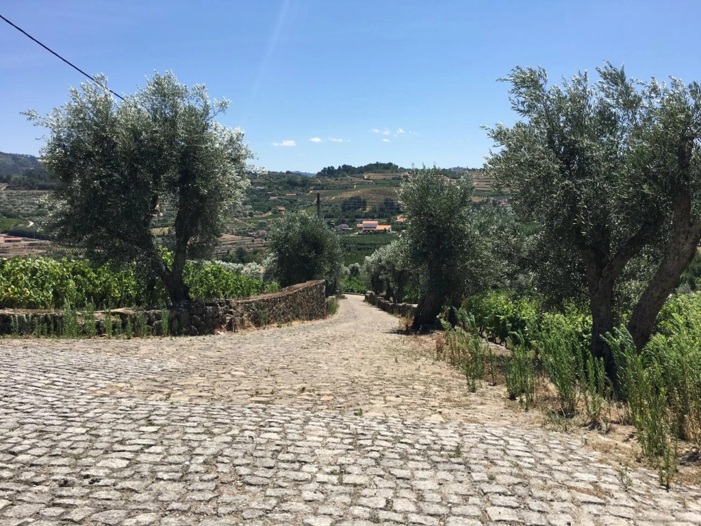 Quinta Do Acipreste