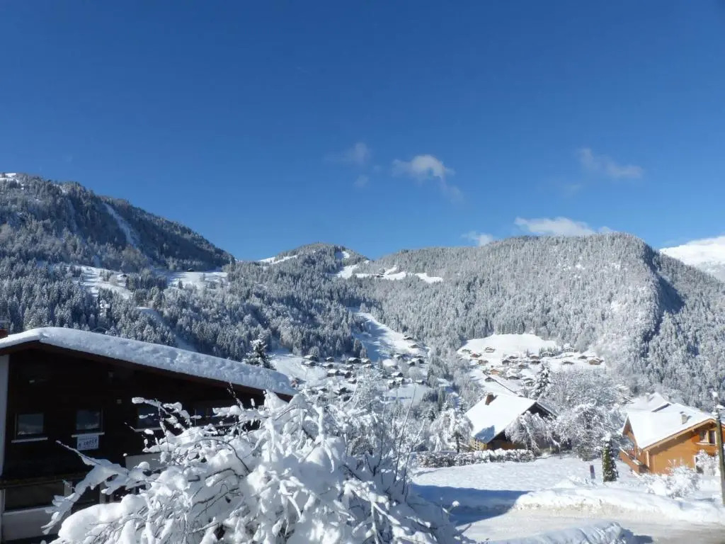 Appartement La Clusaz, 3 pièces, 6 personnes - FR-1-437-27