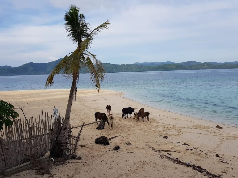 Backpackers Island Beach Camp - Adults Only
