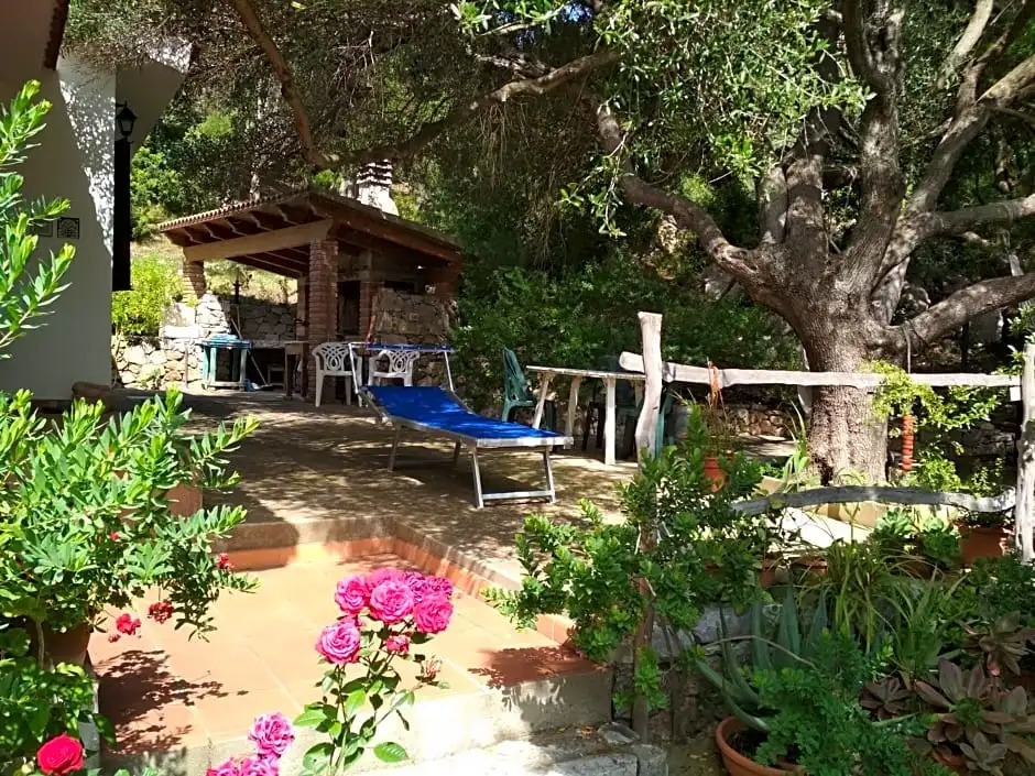 B&B SArchiotta