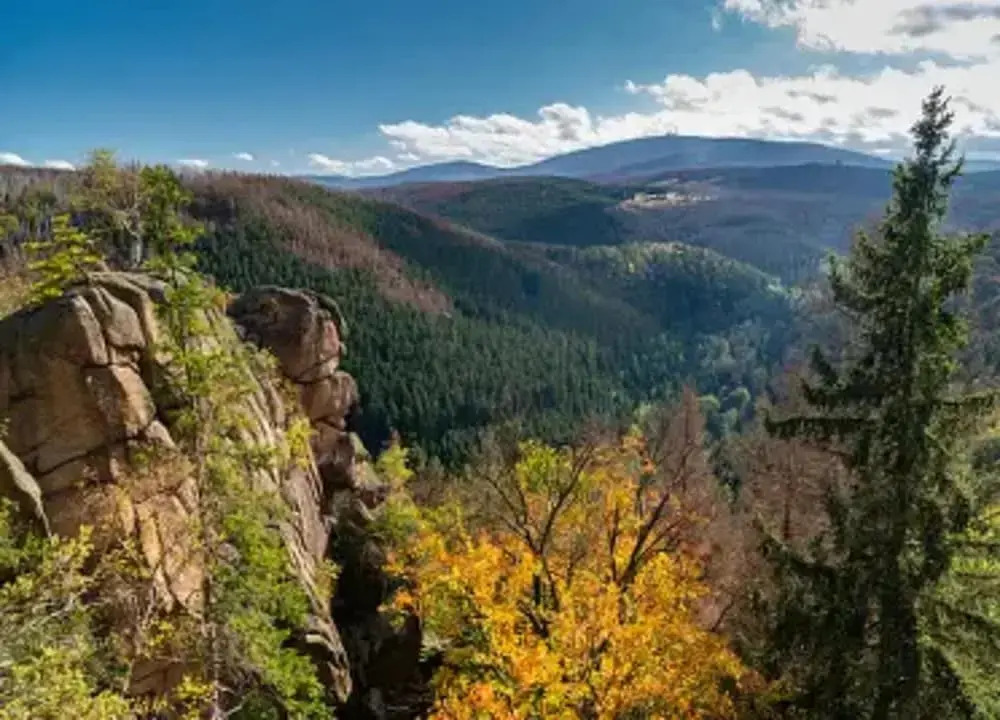 Apartment in Harz Near Brocken Railway