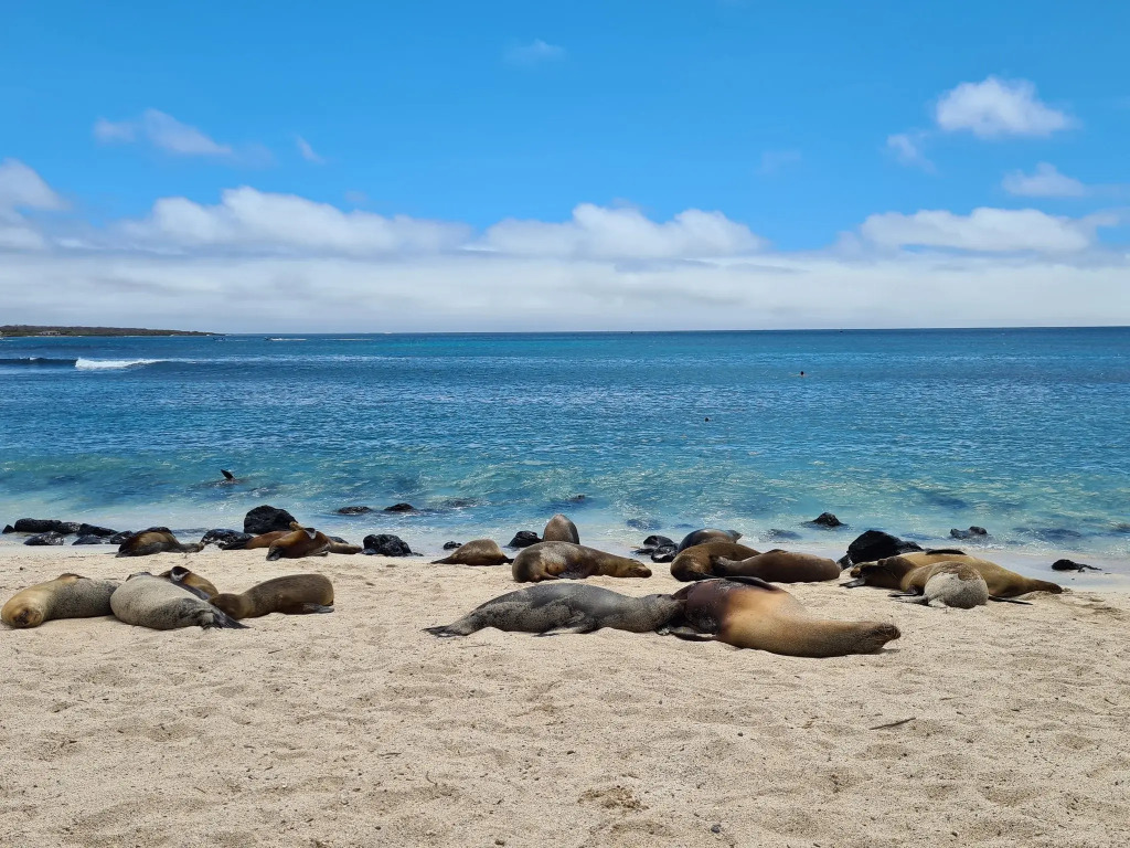 Hotel Indigo - Galapagos by IHG