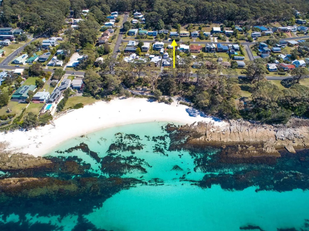 Palmwood at Hyams Beach