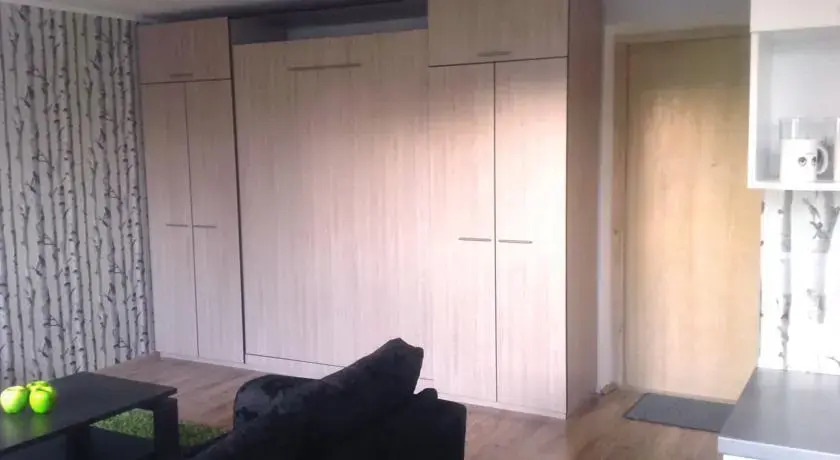 Sunny Studio Apartment