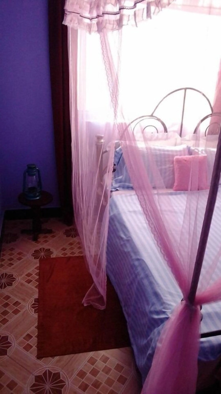 View Mountain House - Backpackers