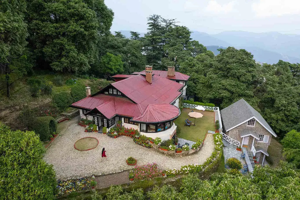Jungle House