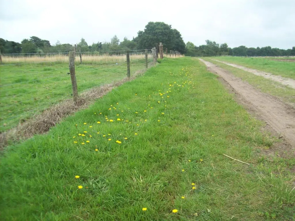 Wapen van Exloo