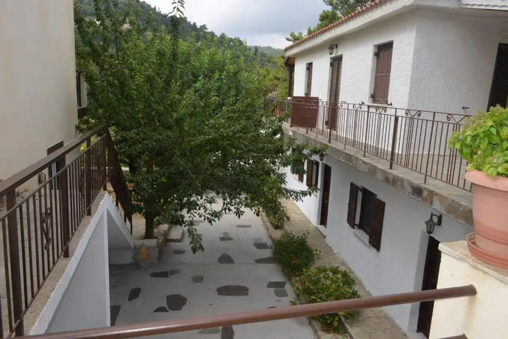 Despina Studios Kastanies Raxes Ikaria # 7