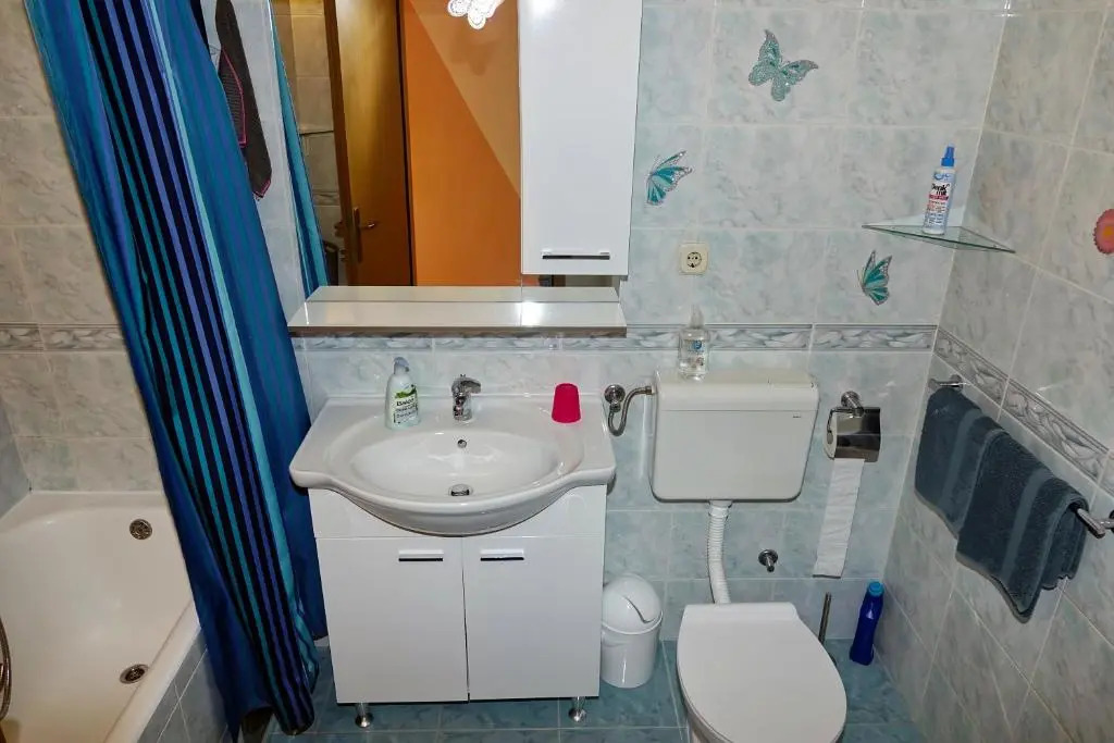 Apartment Babić