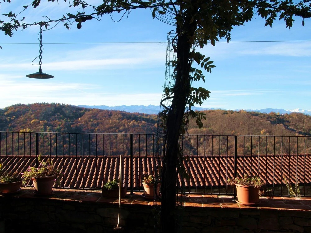Detached villa with swimming pool, in the green hills and vineyards