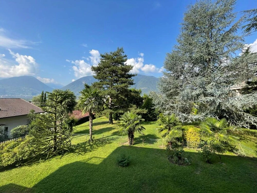 Castel Gatto Studio Apartment