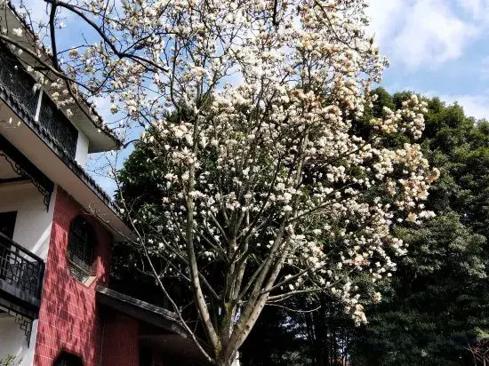 Heming Shanzhuang Yangyiju Hotel