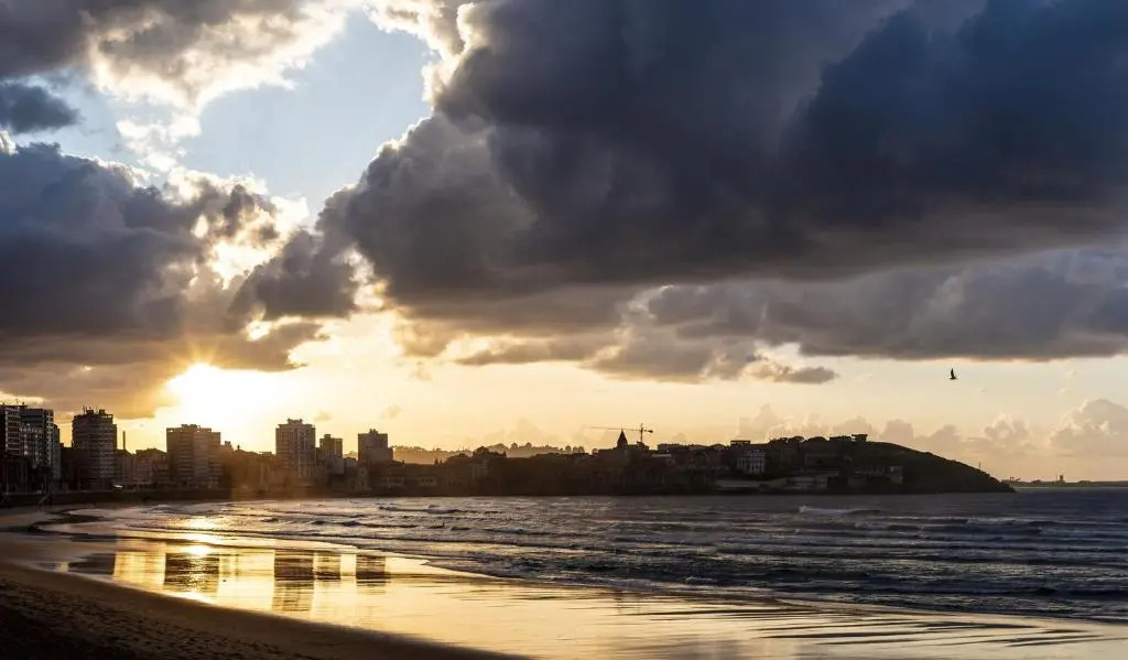 Costa 123