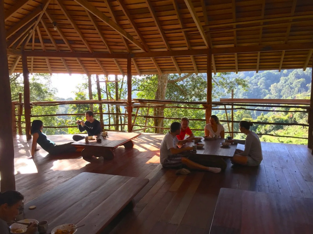 Terras Tree House