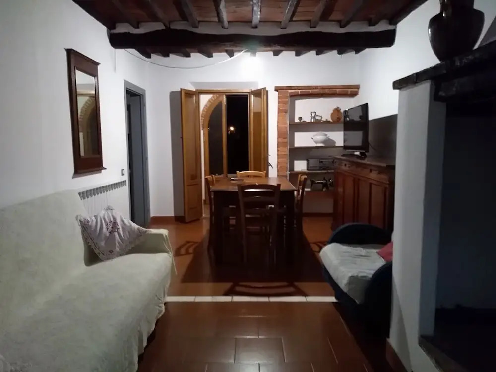Violino