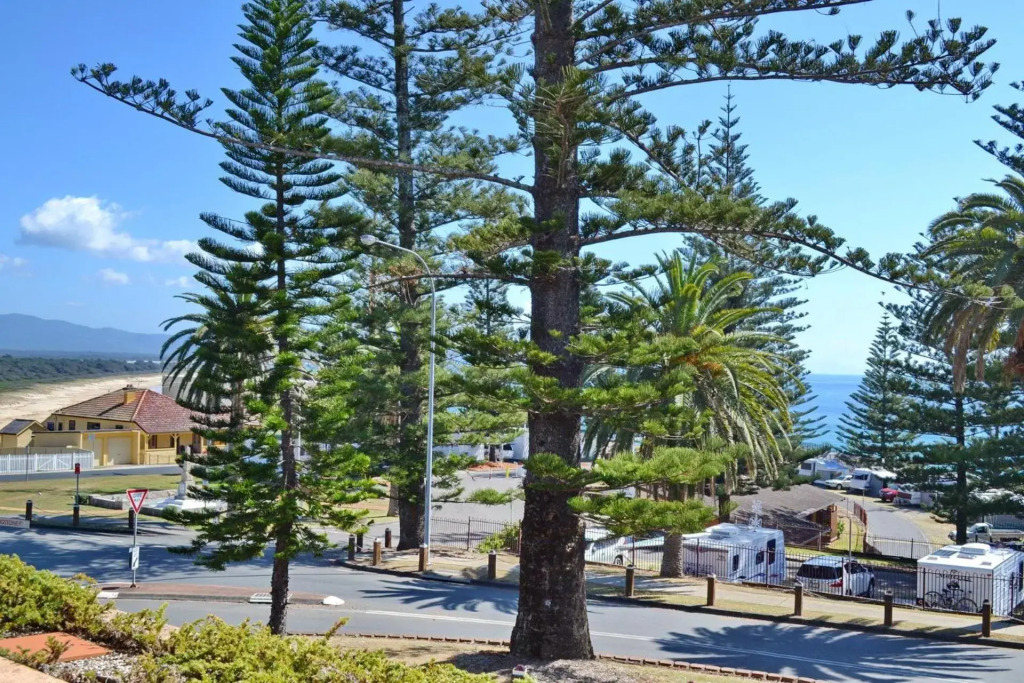 Tradewinds Apartment 4