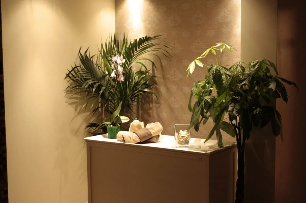 Hotel Donatella Pinarella