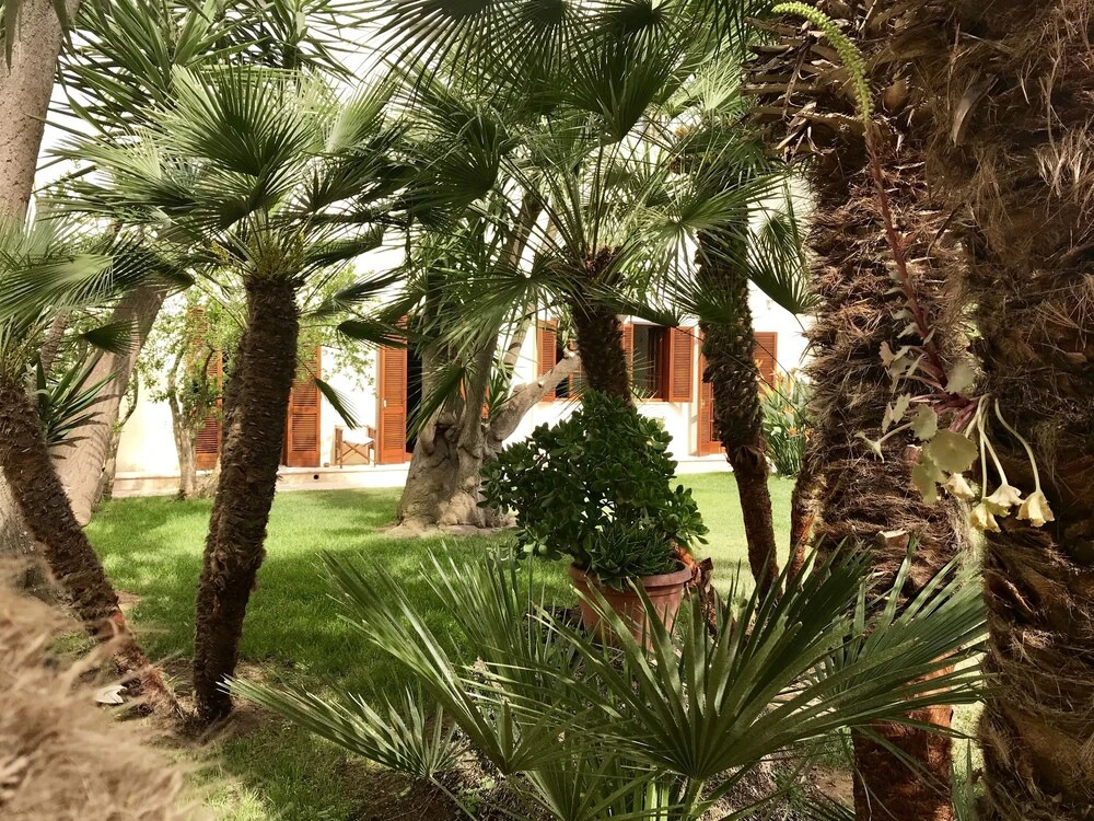 Villa Donna Adriana