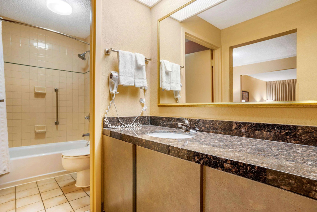 Econo Lodge Inn & Suites Foley-North Gulf Shores