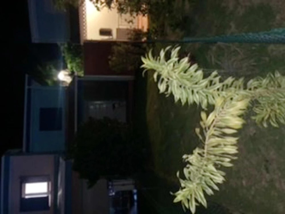 House With 2 Bedrooms In Bouillante With Furnished Terrace And Wifi 500 M From The Beach