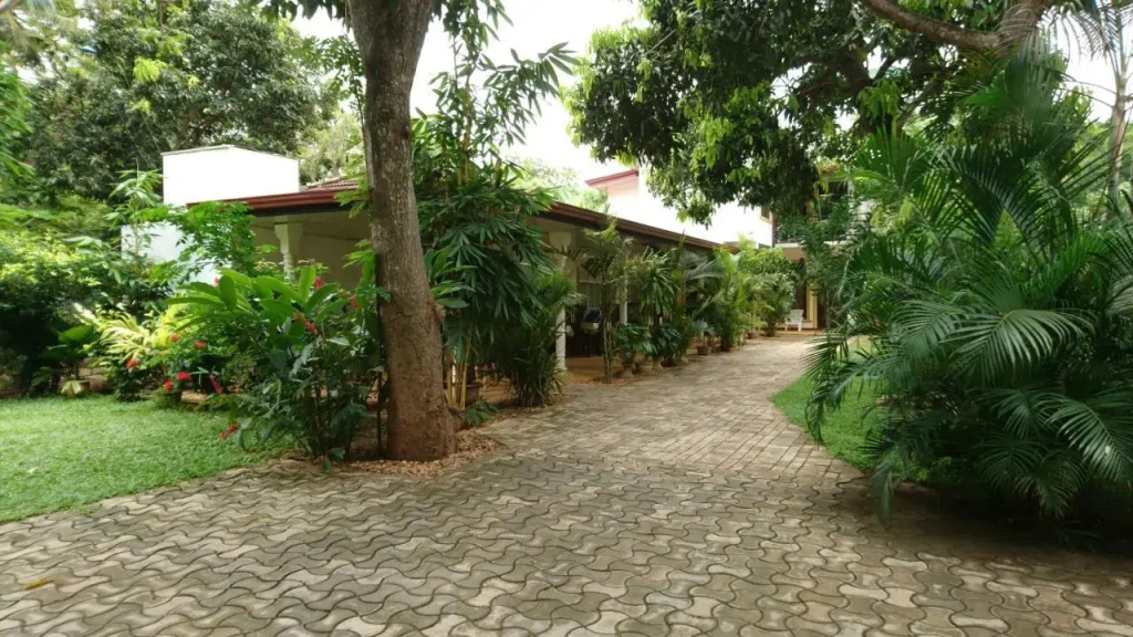 Yala Southern Homestay