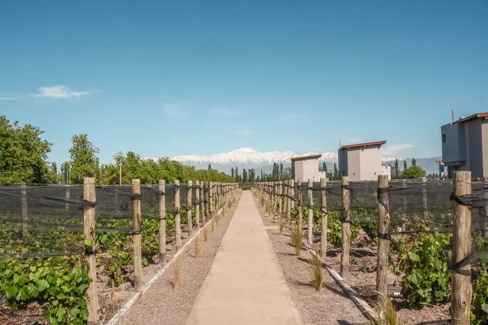 Agrelo Vines Lodge