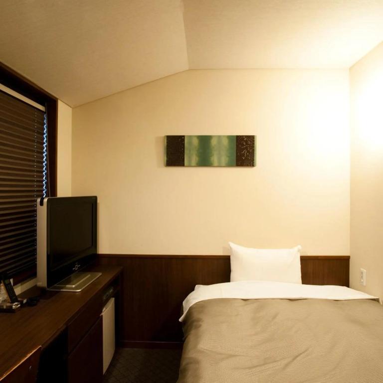 Ochanomizu Hotel Shoryukan